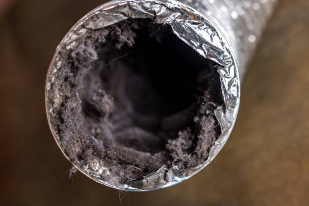 Best Affordable Duct Cleaning Services  in Spencer, IA